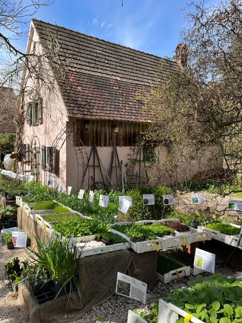 Foto_Grafs-Reisevergnuegen